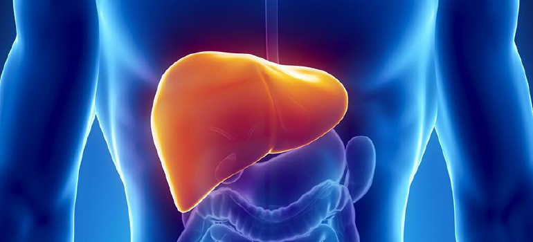 ESTEATOSE HEPÁTICA SUA RELAÇÃO COM A OBESIDADE