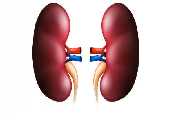 Cistinose você sabe o que é?    Cistinose você sabe o que é?