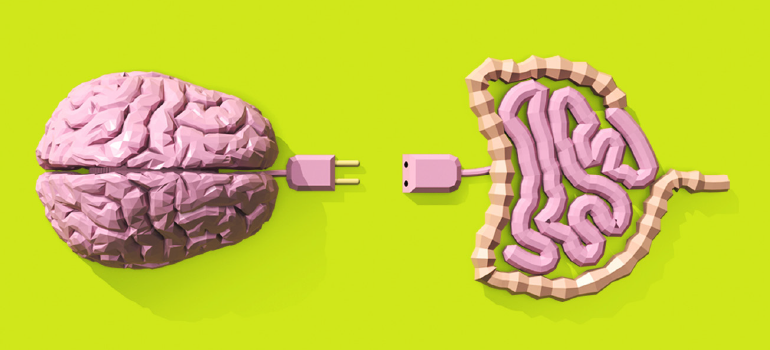 Um breve resumo sobre a conexão cérebro- intestino