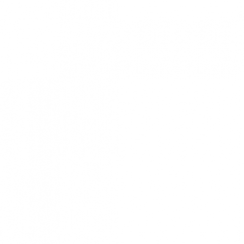 Thiago Tauê Gomes Brandão 